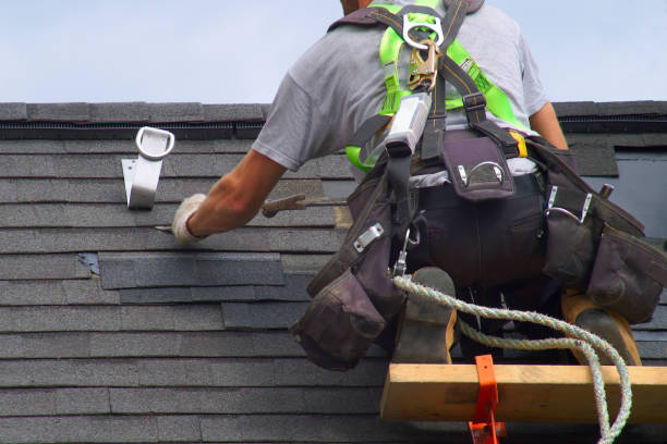 Best Roof Gutter Cleaning  in Oak Hill, TN